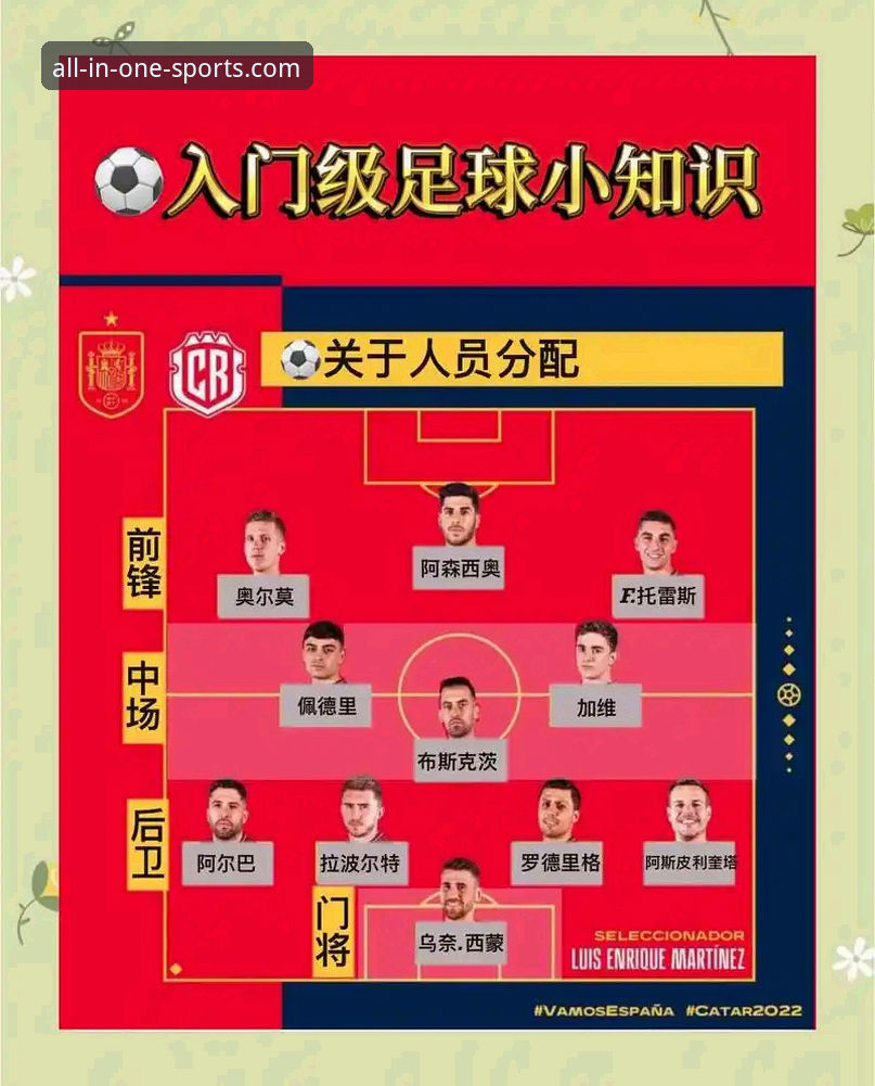 从波黑点球大战失利，解析意大利足球的困境与未来：半岛体育平台深度赛事复盘指南