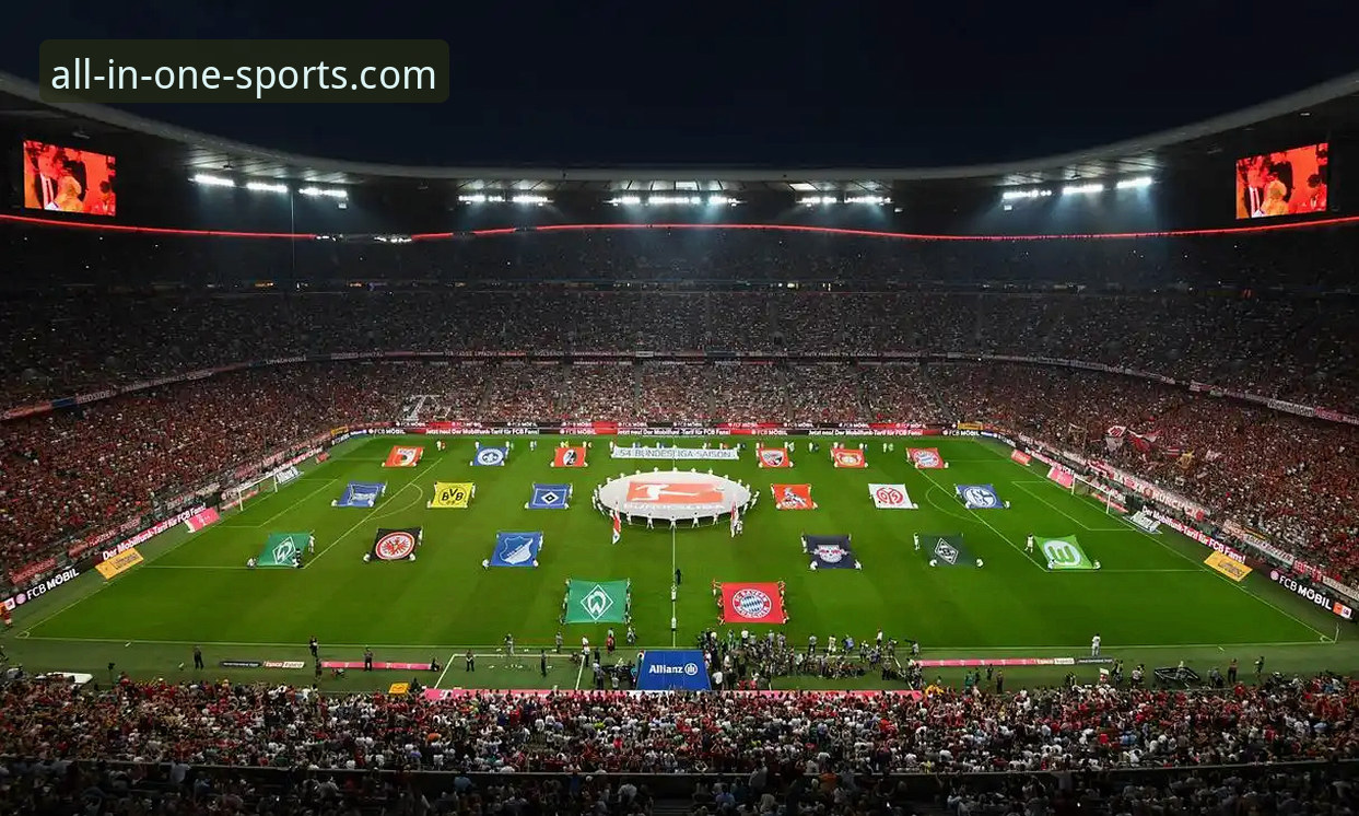 半岛体育平台全面解析：专业体育资讯与创新服务体验深度分析